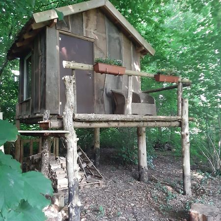 Отель Baumhausnaechte Ladbergen Экстерьер фото