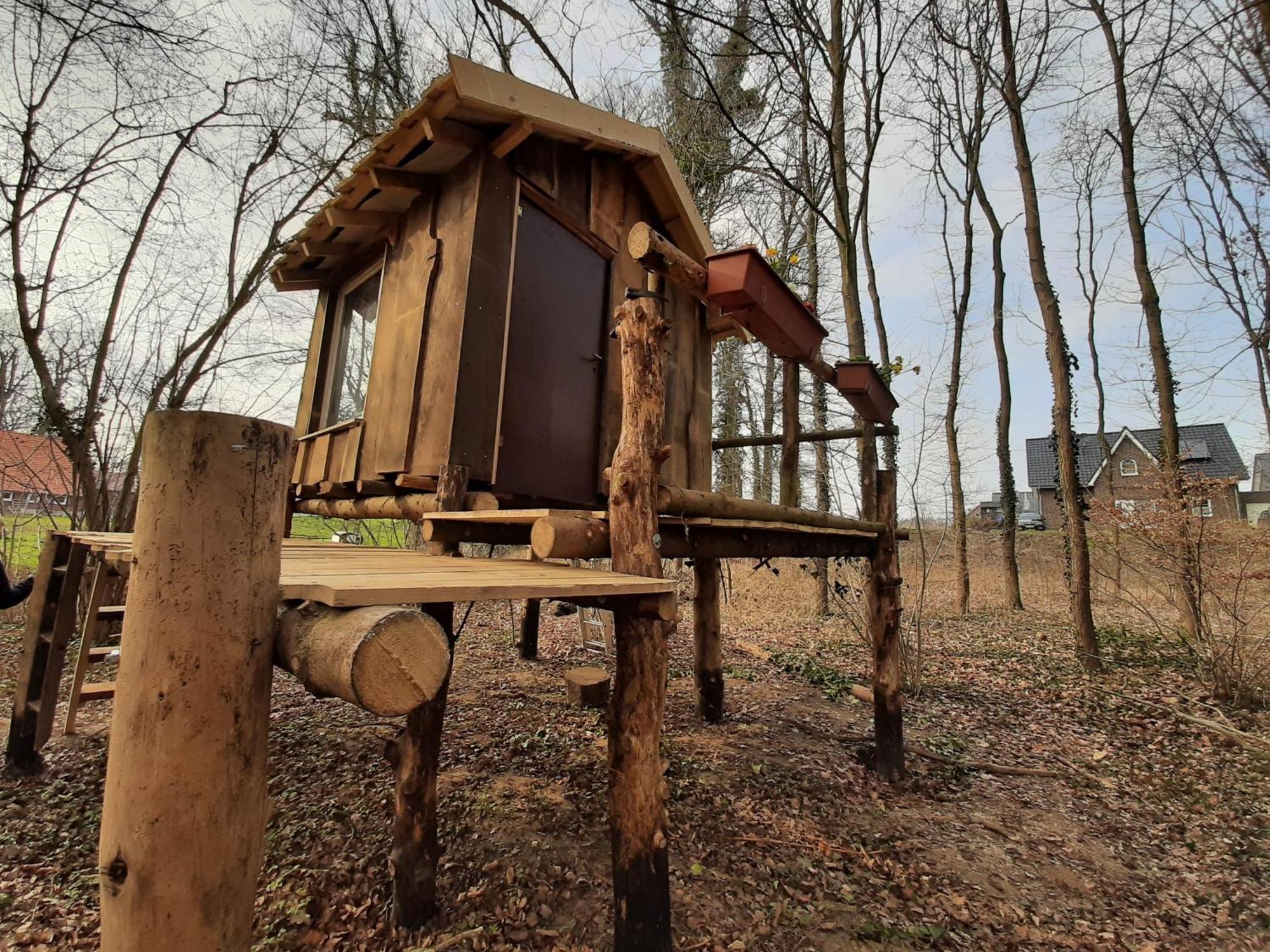 Отель Baumhausnaechte Ladbergen Экстерьер фото