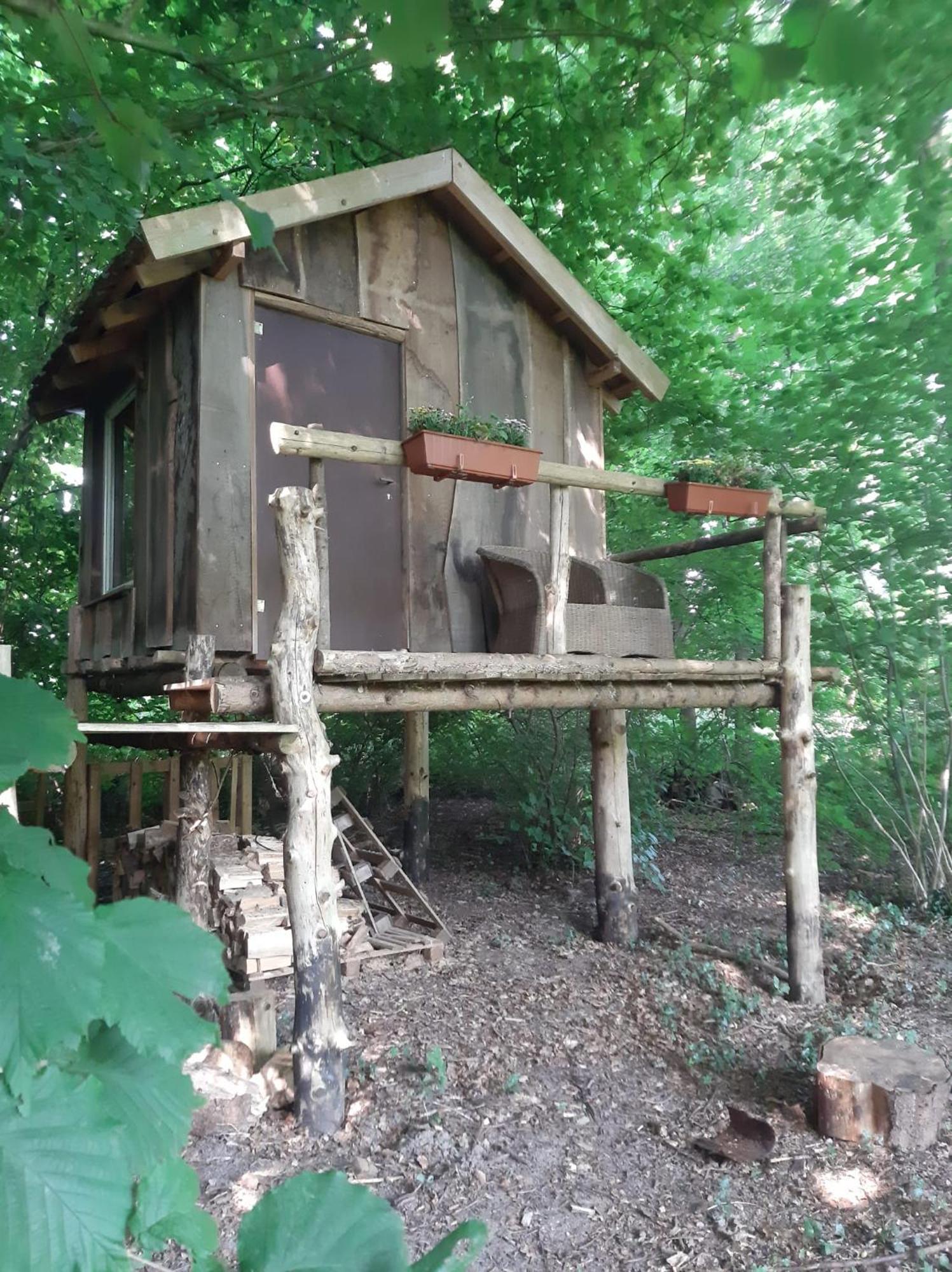 Отель Baumhausnaechte Ladbergen Экстерьер фото